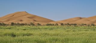 Camp atlantic chegaga - M'Hamid El Ghizlane - 4