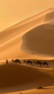 Camp atlantic chegaga - M'Hamid El Ghizlane - 8