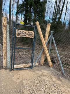 Zawilcowa Dolina -  - 7