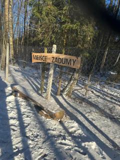 Zawilcowa Dolina -  - 8