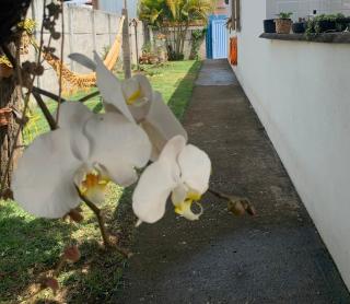 House for 4 people 480 per night - 9