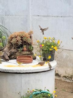 House for 4 people 480 per night - 6