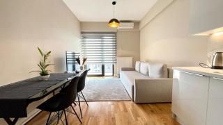 Diamond Urban Comfort Apartment City Centre - Skopje - 0