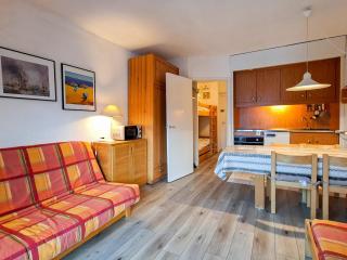 Studio lumineux avec balcon et casier à ski proche des pistes - FR-1-425-185 - 1