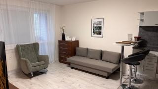 Elegant Escape apartment IV - free parking, easy access to City Center - 5