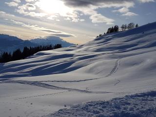 Chalet Bambi, spacieux, jardin, cheminée, kids & pets friendly - Grimisuat - 1