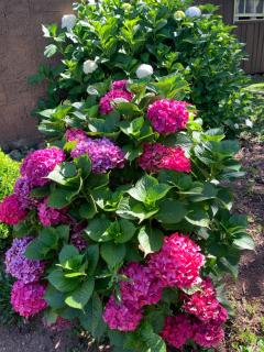 POUSADA FAZENDA PAIM - 7