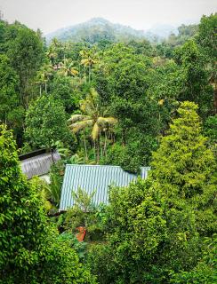 Luna Munnar 4Bedroom Villa - 8