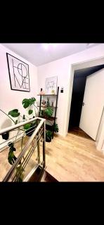 2 Zimmer Dachgeschoss Appartement - 3