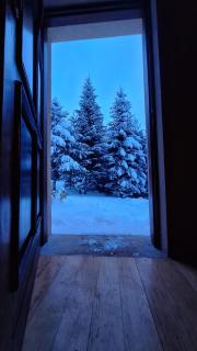 House sid forest - 8