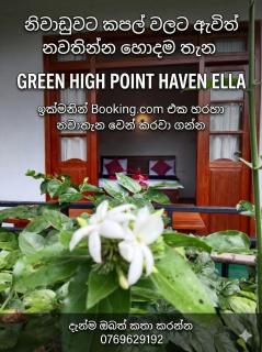 Green High Point Haven Ella - 9
