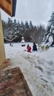 House sid forest - 6