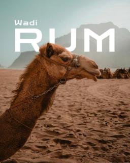 Wadi Rum Bubbles Luxury Camp - 1