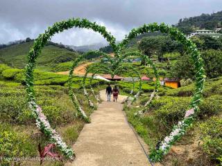 SENJA 1 by Rumah Che Matsunami - 1