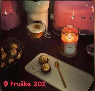 Fruške 202 studio apartman - 4