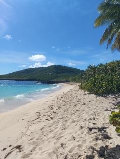 Vos vacances à 800m de la plage de l anse figuier - 9