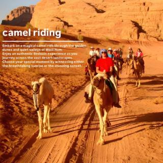 Wadi Rum Bubbles Luxury Camp - 8