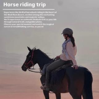 Wadi Rum Bubbles Luxury Camp - 7