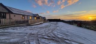 Evening Star Cottages - 1