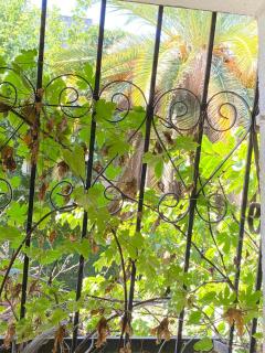 Large apartment, 200 m2, quiet with garden and garage - 6