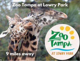 311-WIFI and Electric-Amazing Views - 6