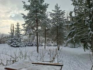 Cottage Tatry Wellness - 1