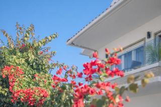 Gold Coast Photography Inn - Estoril - 8