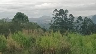 Quarto Twin, 1 ou 2 pessoas, em Siderópolis apenas HOMENS, a 10 min de Nova Veneza e Criciúma - Siderópolis - 8