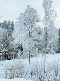 Warmia Domek Bukowy - Woryty - 4