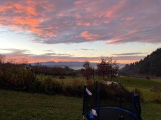 Cabana 3 Stejari Maramureș - 8