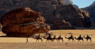 Desert shine camp - 3