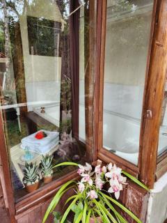 Cabana Tinyhouse - 5