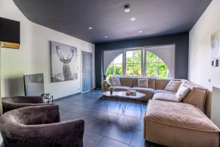 Ardennes Family Lodge, Family house 13 guests with garden & sauna - 9