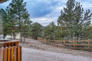 Columbine Cabin at Highland Meadows - 3