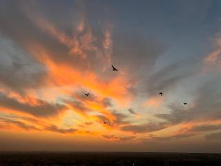 Hotel Himmat Niwas - 9