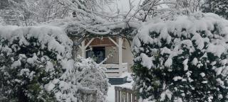 't Tjilpplekje, 4-persoons chalet met privé hottub - 3