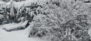 't Tjilpplekje, 4-persoons chalet met privé hottub - 4