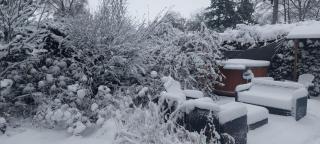 't Tjilpplekje, 4-persoons chalet met privé hottub - 5