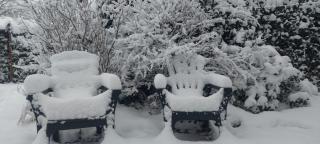 't Tjilpplekje, 4-persoons chalet met privé hottub - 6