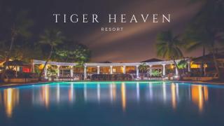 Tiger Heaven Resort - 0