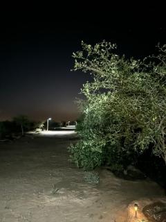 منتجع ومزرعة برزان - 9