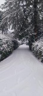 't Tjilpplekje, 4-persoons chalet met privé hottub - 7