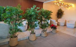 Hotel Olimpica Boutique - 8