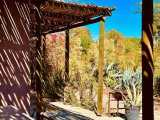 AGAVE HOUSE - Prince Albert - 1