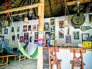 El Leon Feliz Palomino - 8