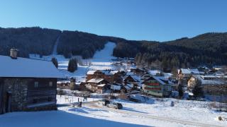 Neuhaus Apartments - Gosau - 9