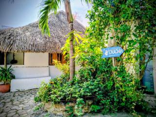 El Leon Feliz Palomino - 7