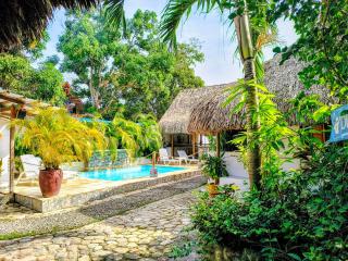 El Leon Feliz Palomino - 6