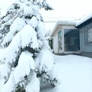 Casa Quattro stagioni Fruska gora - 8