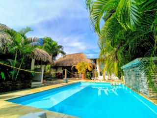 El Leon Feliz Palomino - 5